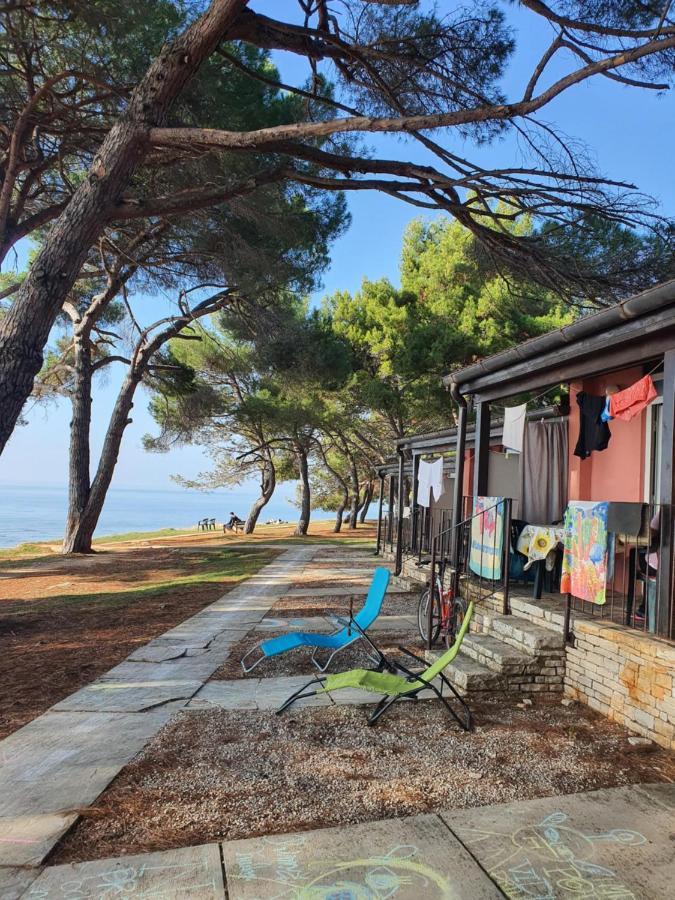 Family Bungalow Pineta Новиград Екстериор снимка