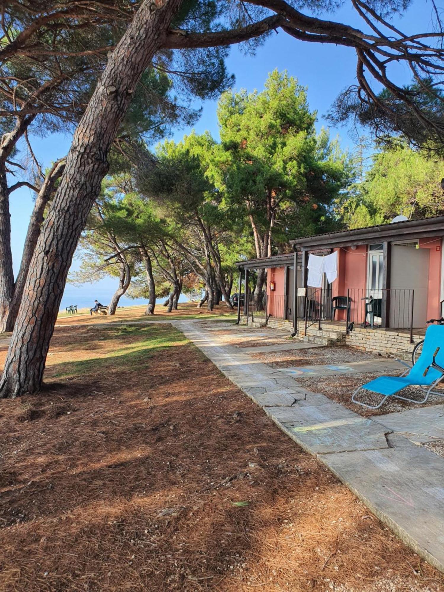 Family Bungalow Pineta Новиград Екстериор снимка