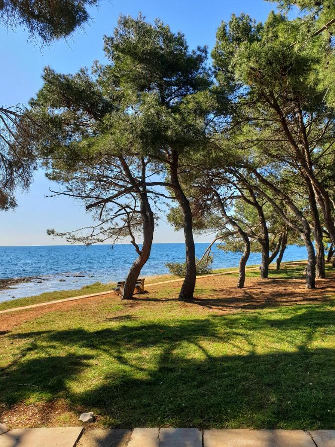 Family Bungalow Pineta Новиград Екстериор снимка